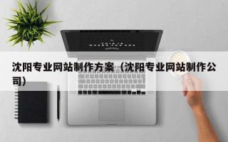北京沈阳专业网站制作方案（沈阳专业网站制作公司）